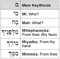 Mem KeyWords
