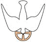 The Descending Dove with the Tri-Radiant Halo