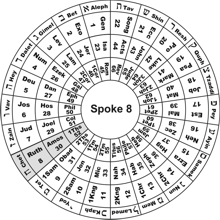 Spoke 8