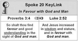 Spoke 20 KeyLink