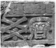 Skull and Crossbones from graveyard in Uxmal, Mexico Skull and Crossbones from graveyard in Uxmal, Mexico